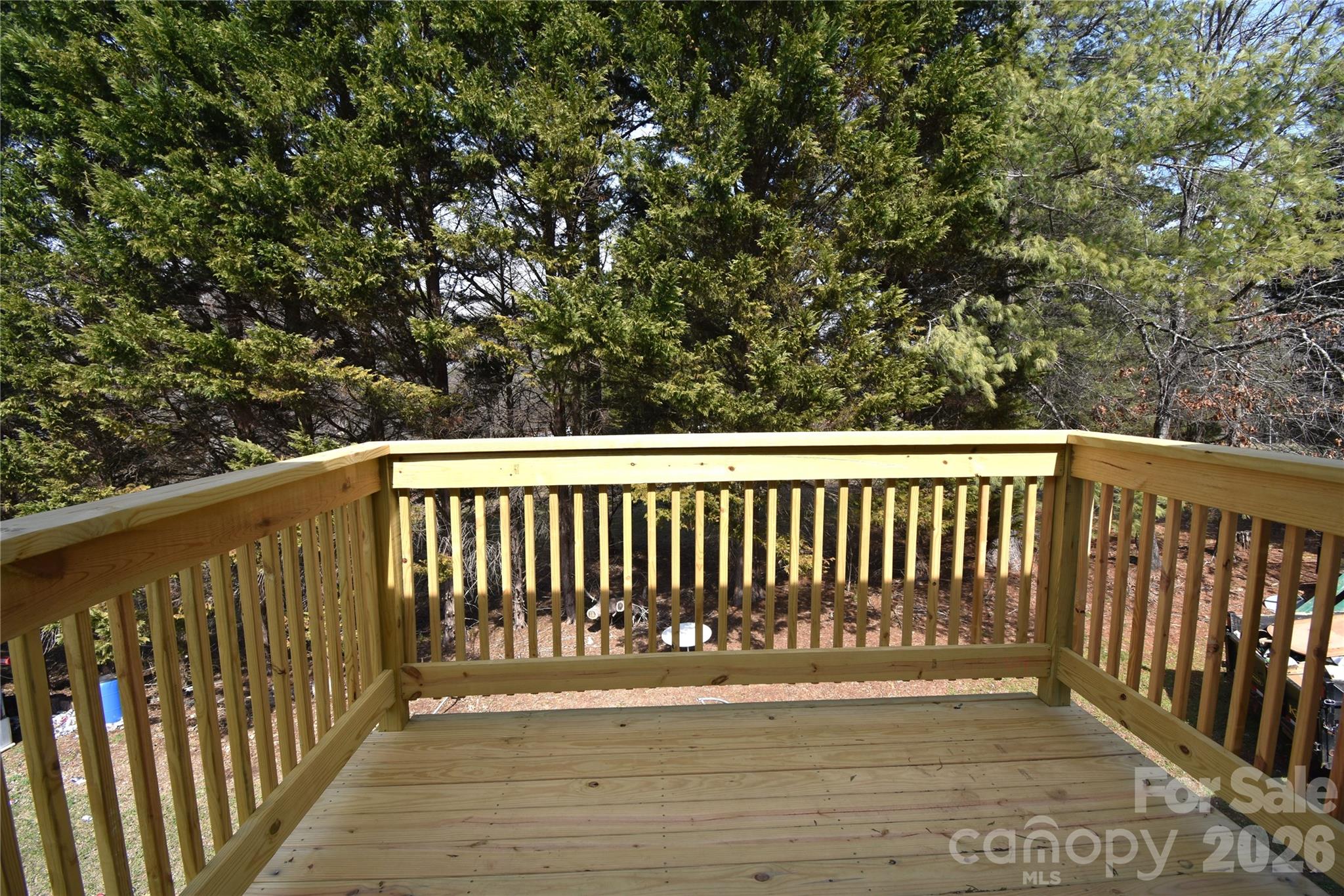 151 Cedar Valley Road Hudson, NC 28638 - Photo 3 of 23 a view of balcony with wooden floor