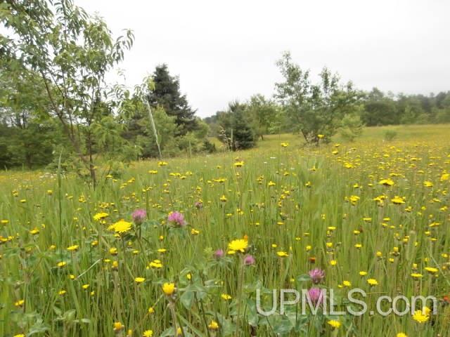 Tbd Ballo Road Crystal Falls, MI 49920 - Photo 23 of 25
