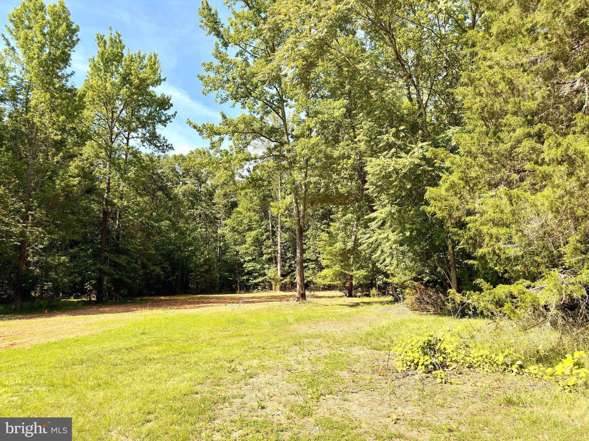 Countyline Church Road Woodford, VA 22580 - Photo 4 of 5