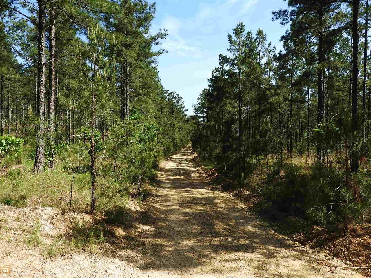 0 Griffin Road Northwest, Unit 5007PARCEL 3 Cartersville, GA 30120 - Photo 22 of 27 a view of a yard with plants and large trees