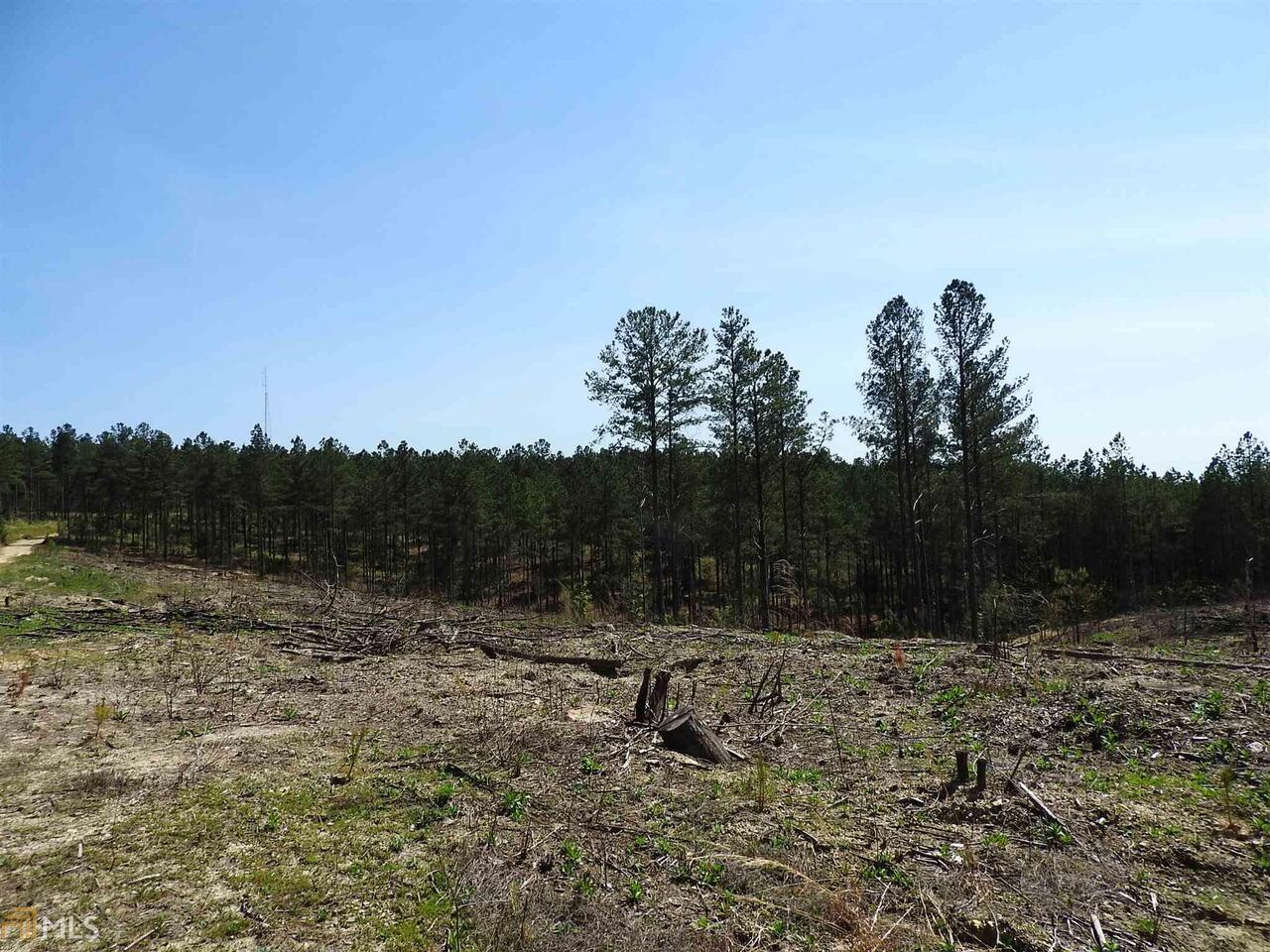 0 Griffin Road Northwest, Unit 5007PARCEL 3 Cartersville, GA 30120 - Photo 7 of 27 a view of outdoor space and yard