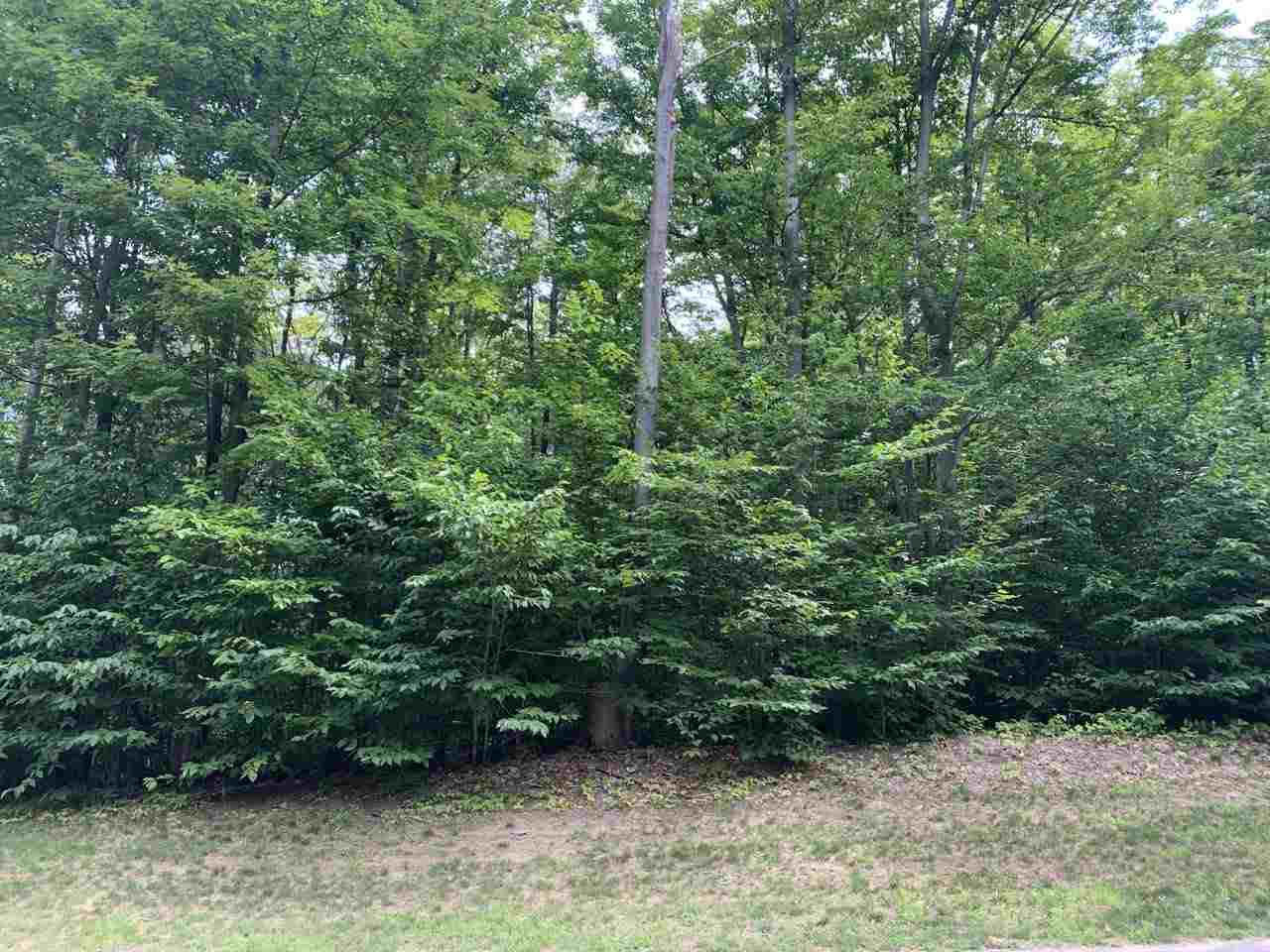 157 Falcons Rest, Unit LOT: 157 Bellaire, MI 49615 - Photo 7 of 36