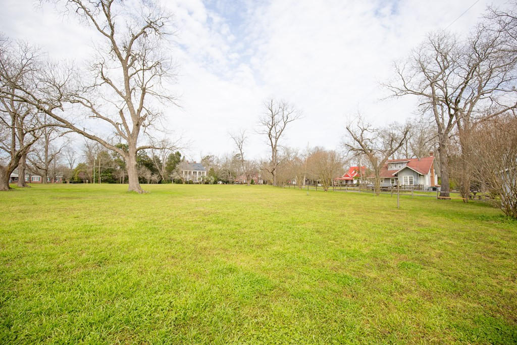 287 Cecile Street Denmark, SC 29042 - Photo 9 of 29 Gallery Image 9