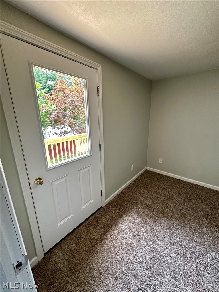 48963 Bloomfield Road East Liverpool, OH 43920 - Photo 14 of 25 Doorway featuring carpet flooring