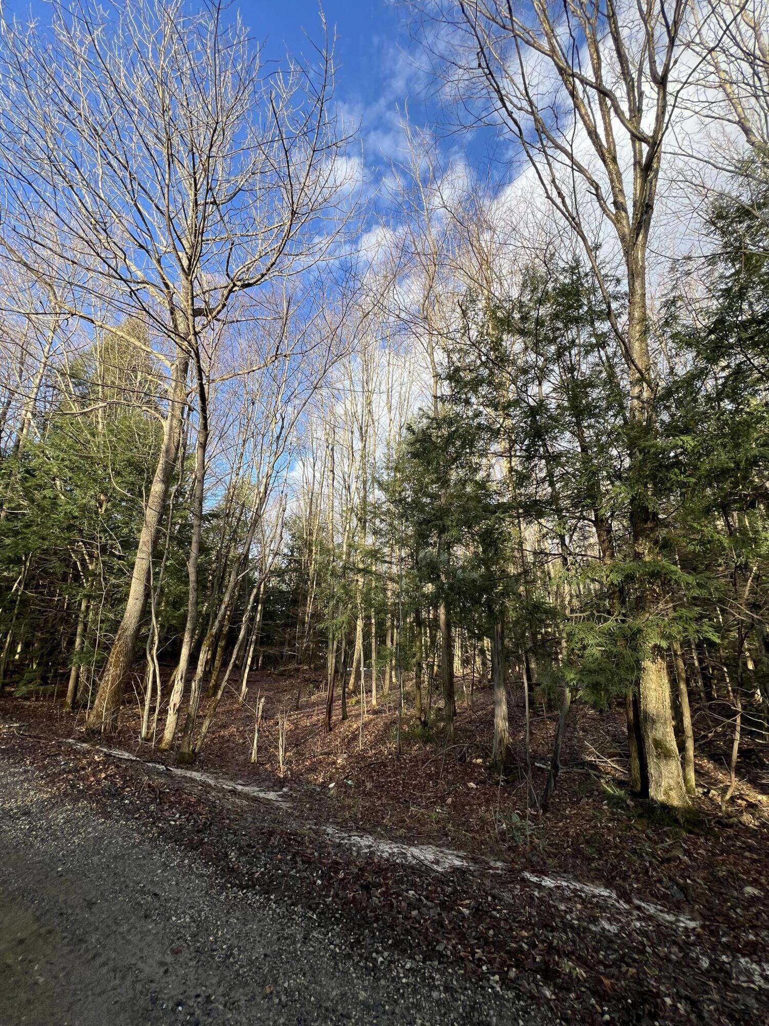 Lot # Commons Road Chateaugay, NY 12920 - Photo 3 of 5 IMG_9382