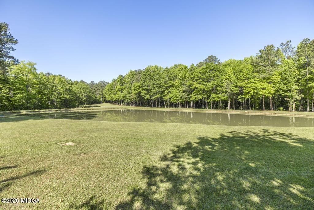 3365 Highway 80 Roberta, GA 31078 - Photo 35 of 41 a view of a swimming pool with a garden and trees