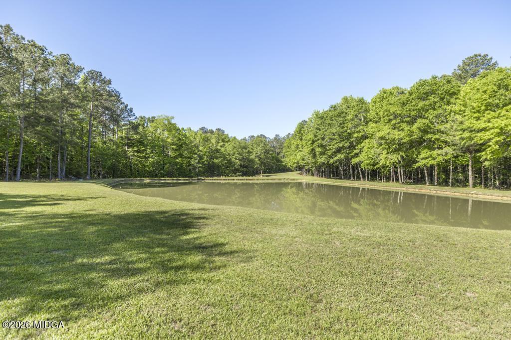 3365 Highway 80 Roberta, GA 31078 - Photo 36 of 41 a view of a swimming pool with a lake view