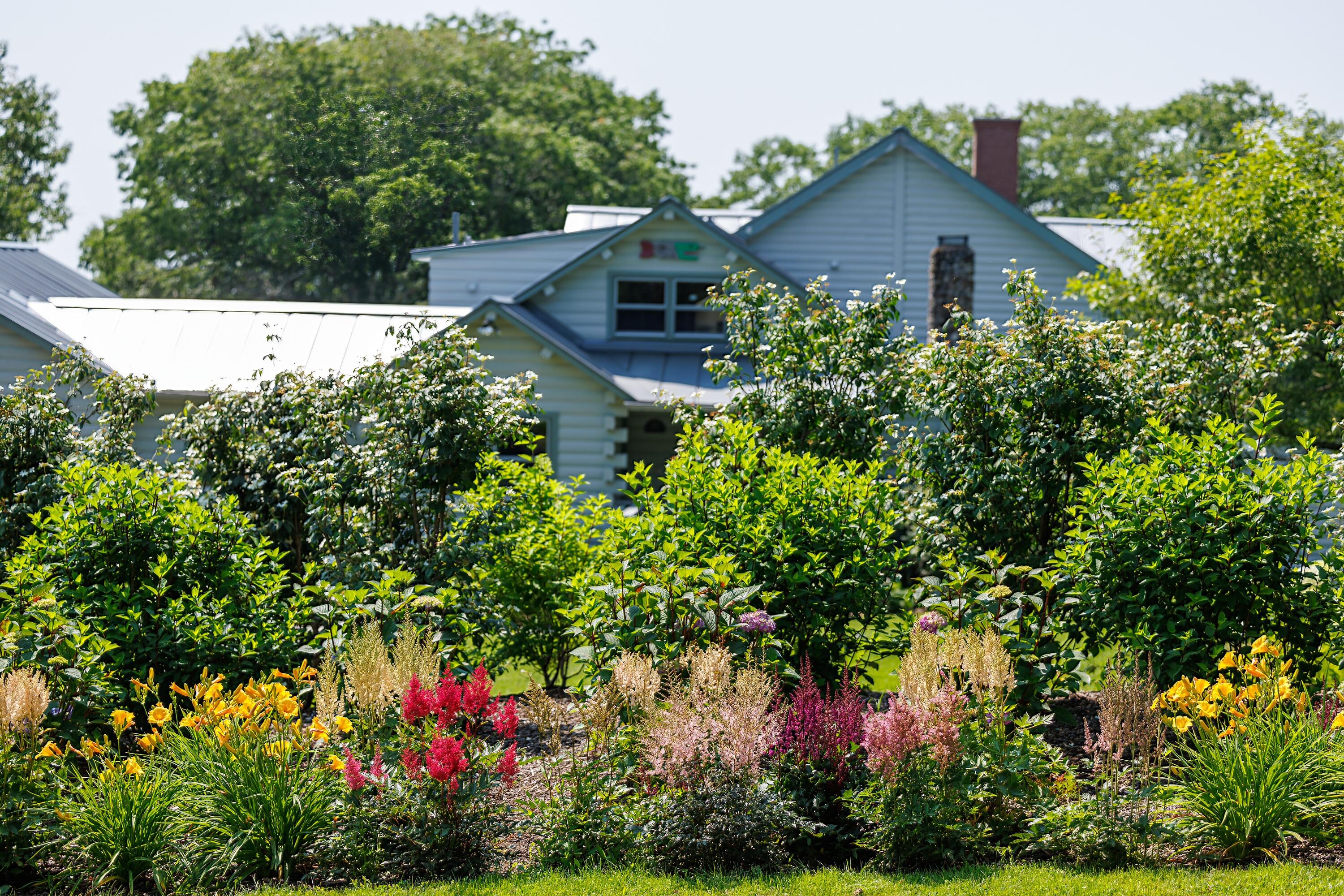 178 Johnson Point Road Penobscot, ME 04476 - Photo 10 of 108 road gardens