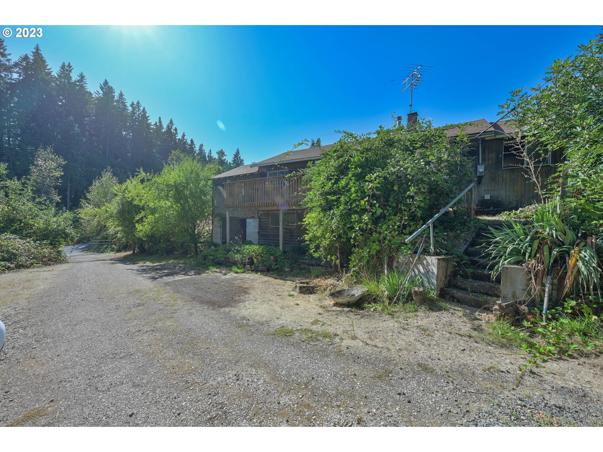 16913 South Hattan Road Oregon City, OR 97045 - Photo 29 of 44 a view of a yard with an tree