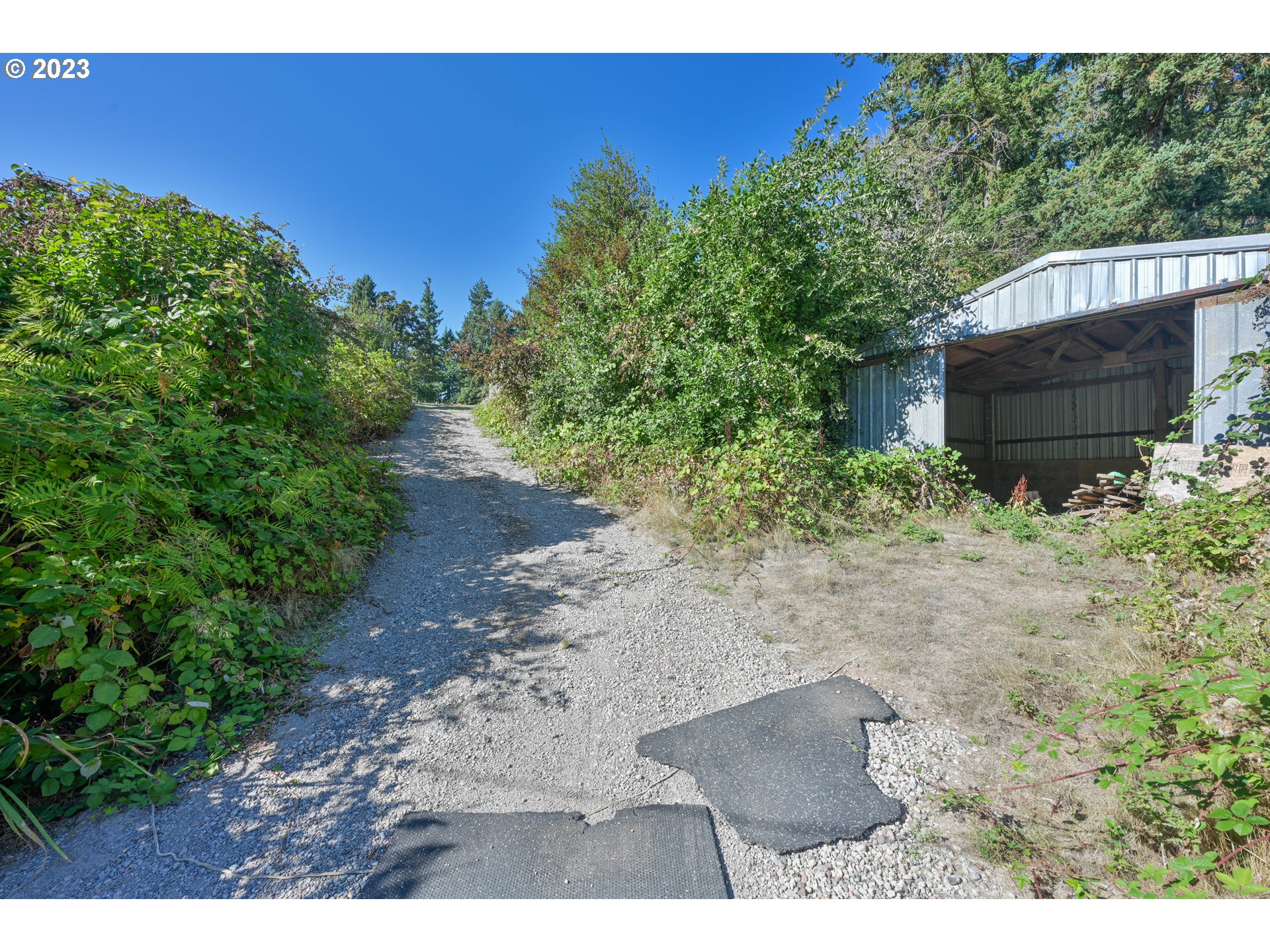 16913 South Hattan Road Oregon City, OR 97045 - Photo 30 of 44 a backyard of a house with lots of green space
