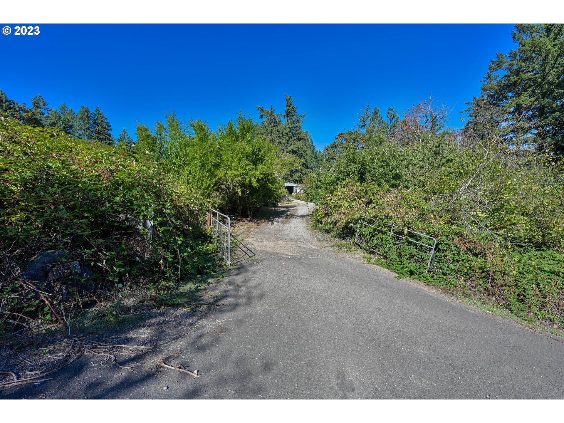 16913 South Hattan Road Oregon City, OR 97045 - Photo 33 of 44 a view of a yard