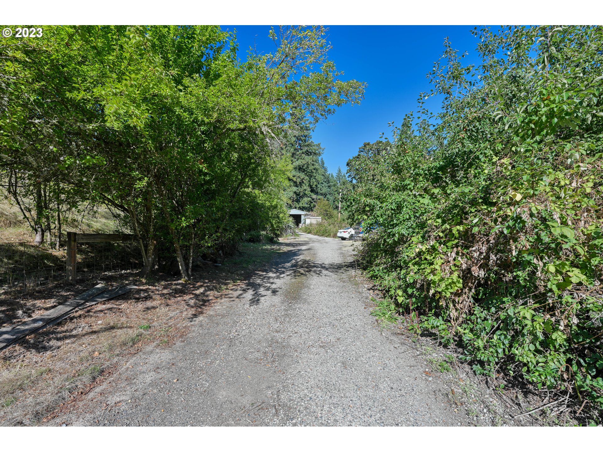 16913 South Hattan Road Oregon City, OR 97045 - Photo 34 of 44 a view of a dry yard with trees