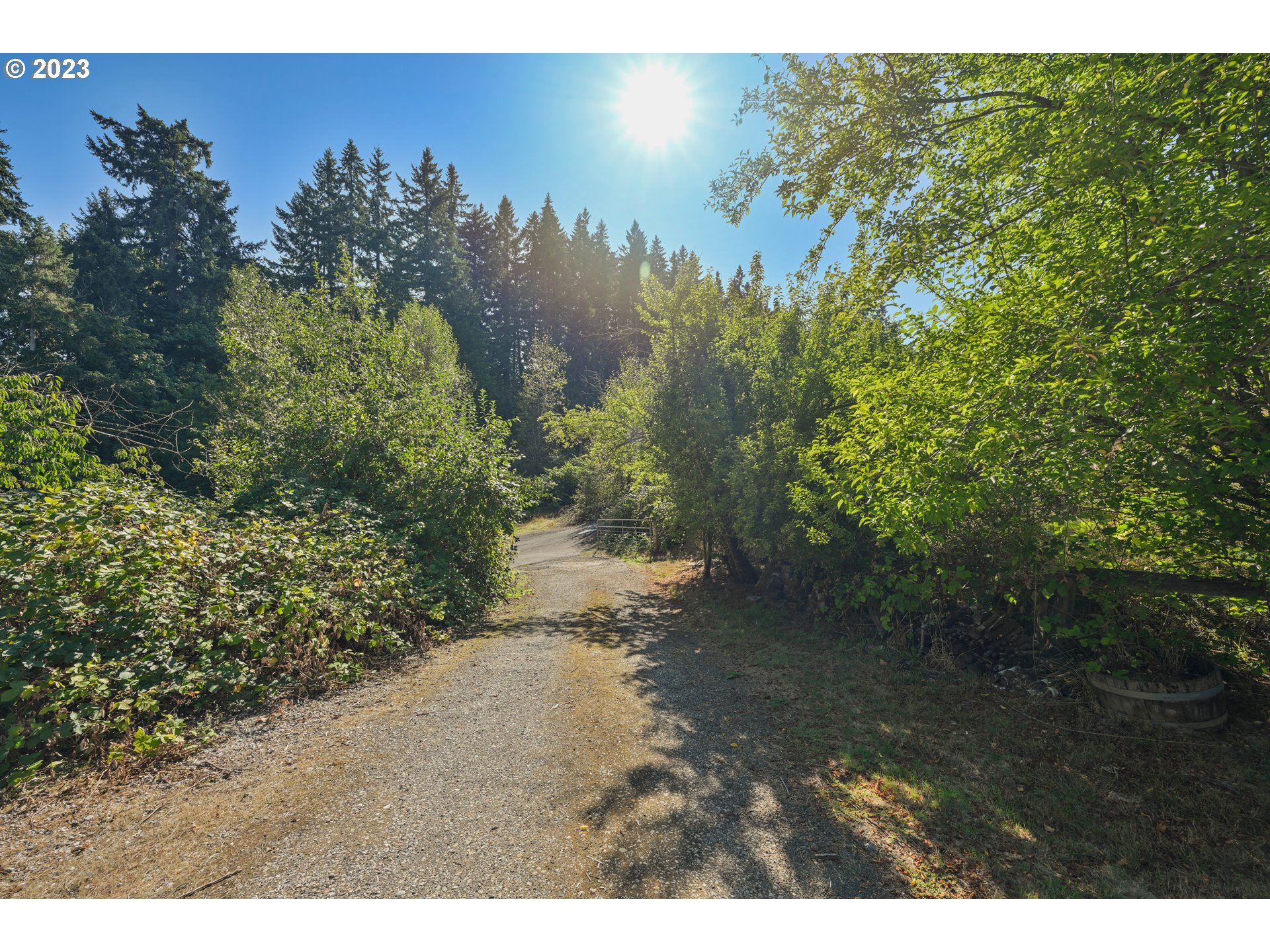 16913 South Hattan Road Oregon City, OR 97045 - Photo 35 of 44 a view of a yard with a tree