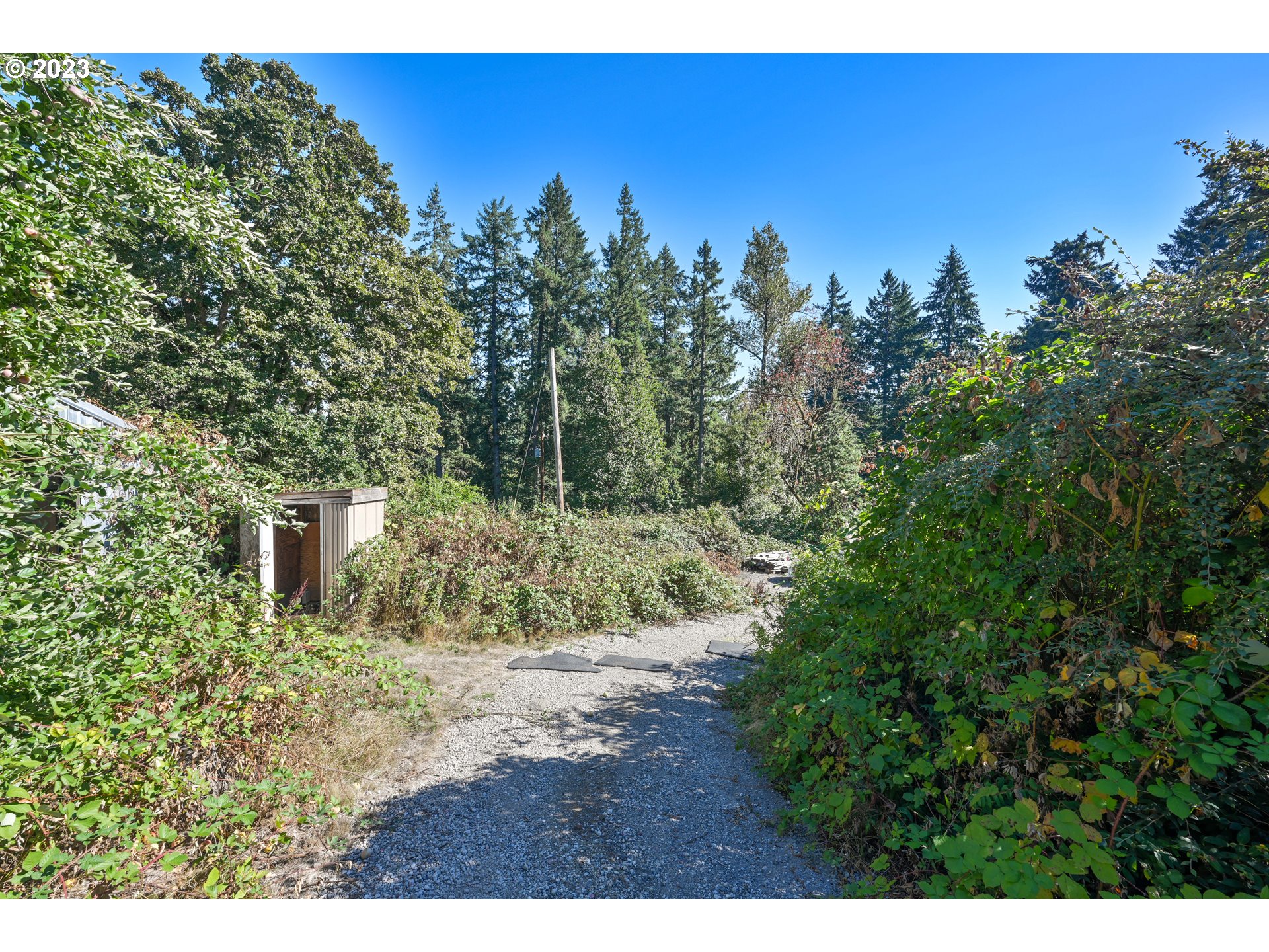 16913 South Hattan Road Oregon City, OR 97045 - Photo 37 of 44 a view of a yard with a tree