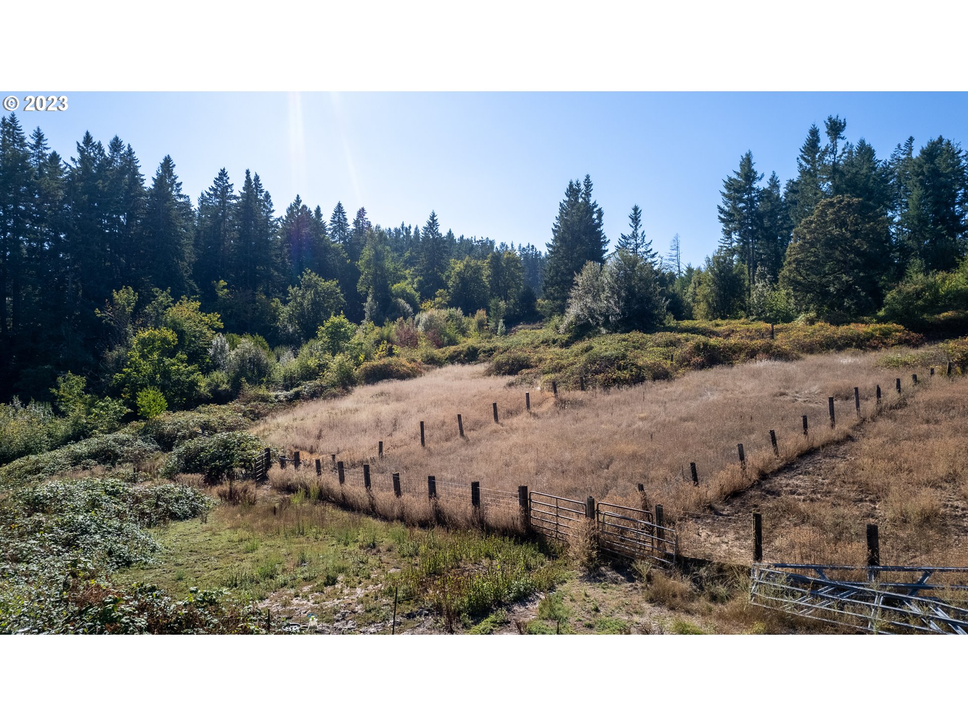 16913 South Hattan Road Oregon City, OR 97045 - Photo 40 of 44 a view of a dry yard with trees in the background