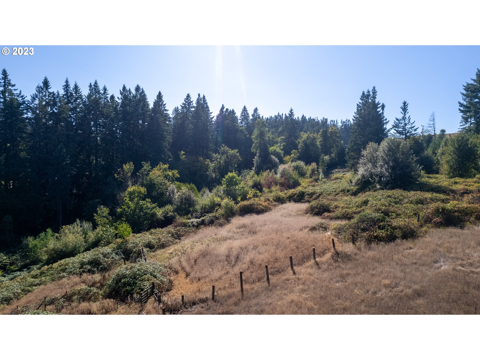 16913 South Hattan Road Oregon City, OR 97045 - Photo 41 of 44 a open area with trees in the background
