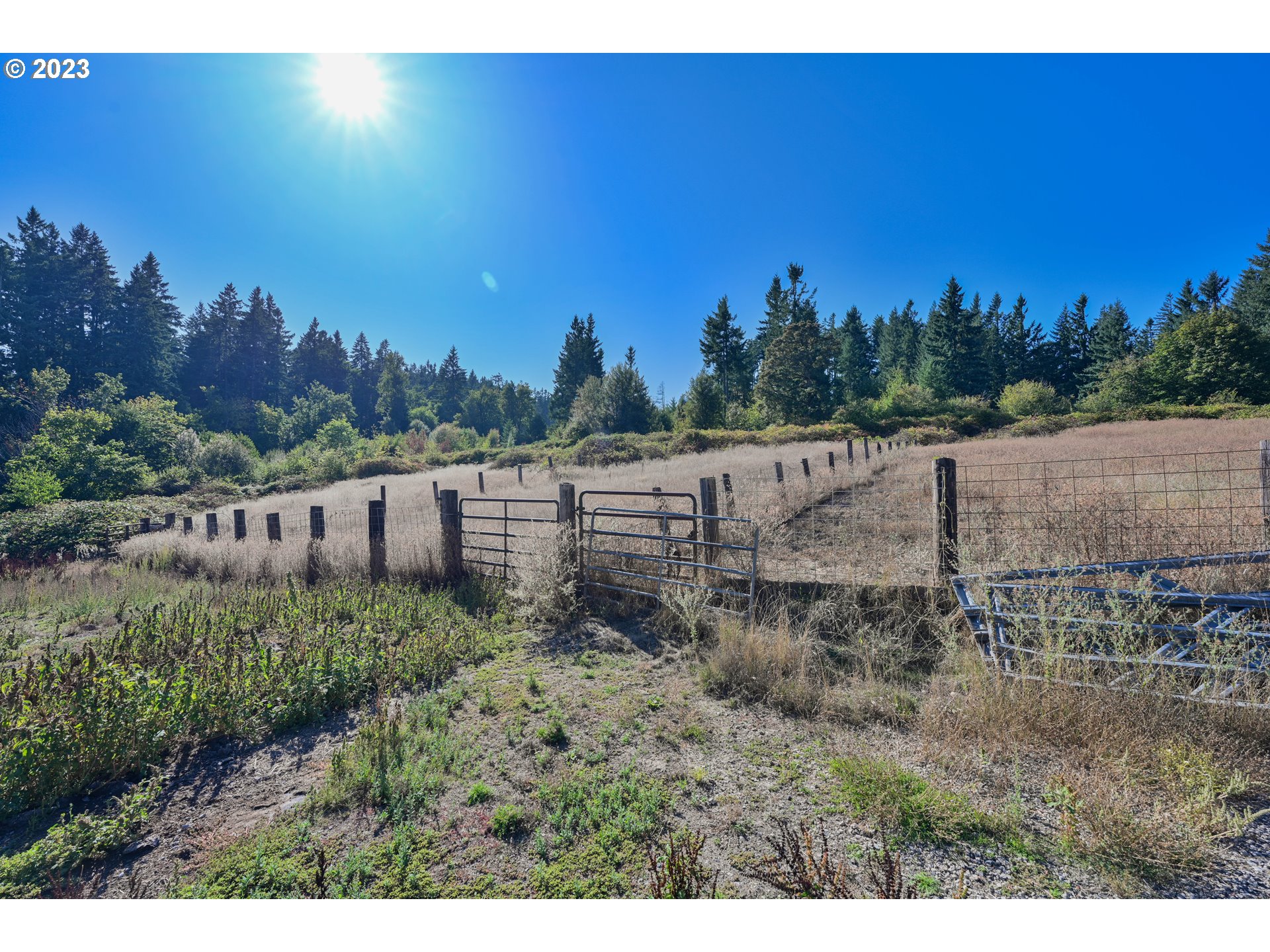 16913 South Hattan Road Oregon City, OR 97045 - Photo 42 of 44 a view of a yard with an outdoor space