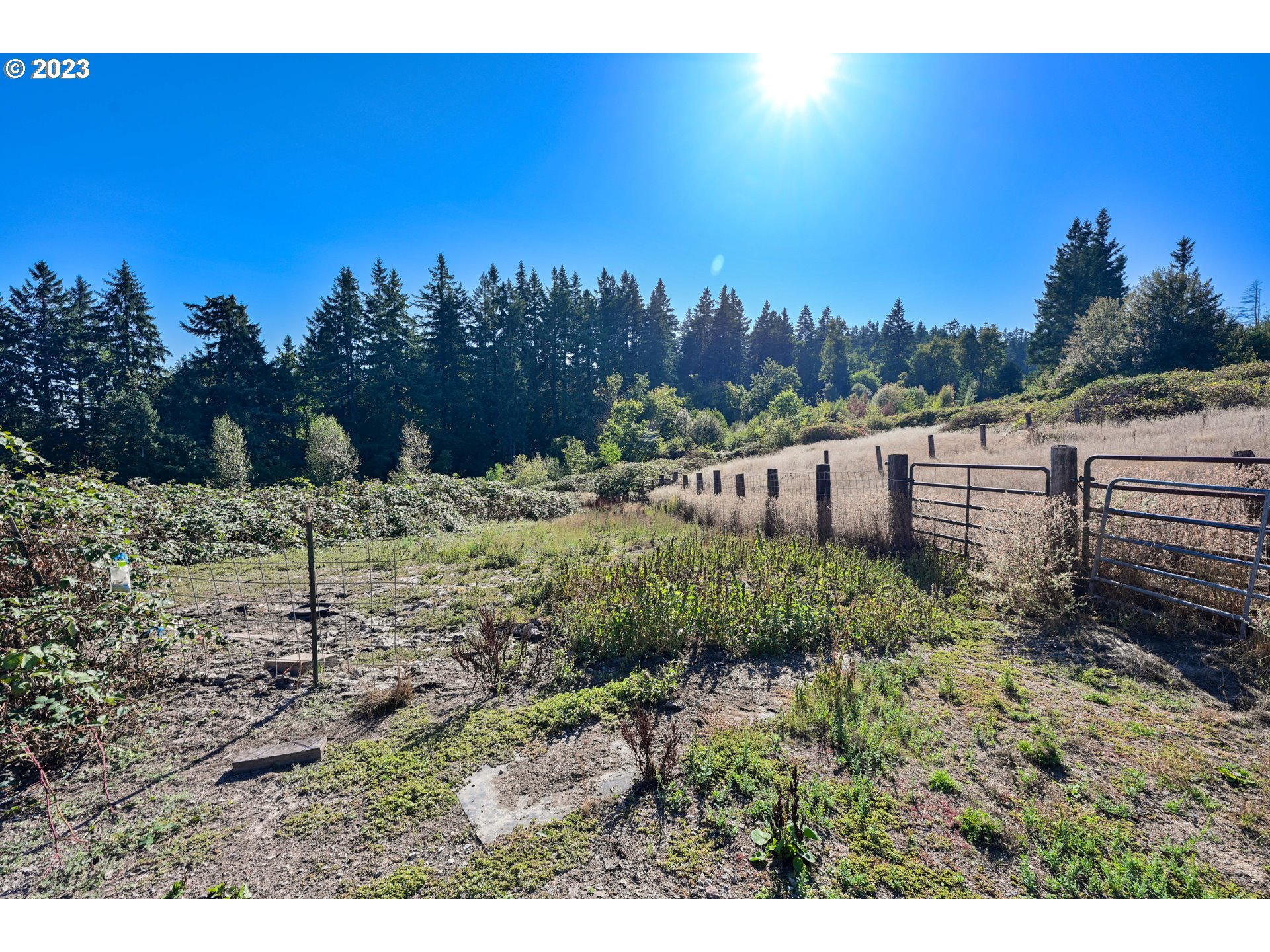 16913 South Hattan Road Oregon City, OR 97045 - Photo 43 of 44 a view of a garden with a building in the background