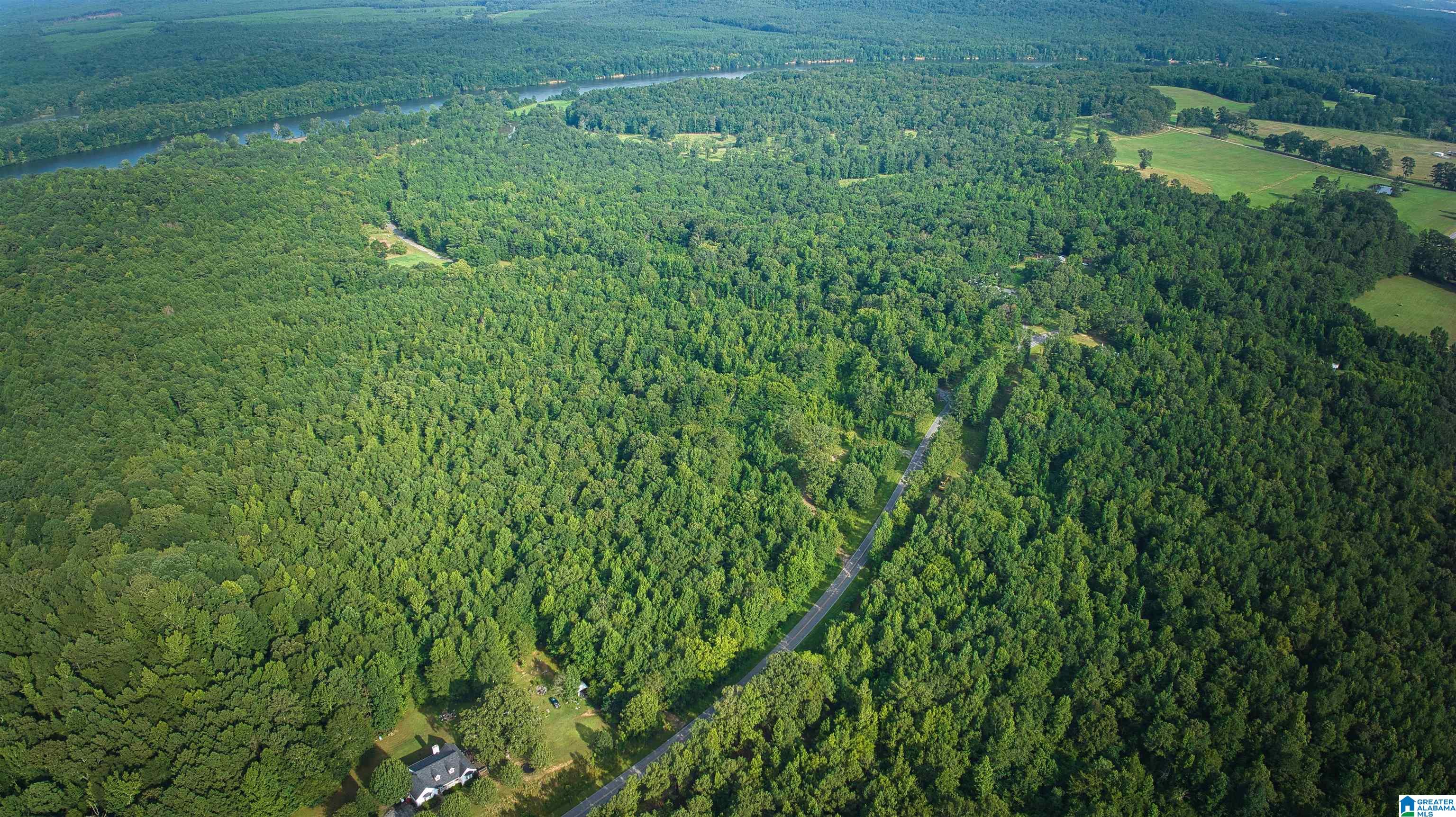 Lot 20 Wester Road, Unit LOT 20 Ragland, AL 35131 - Photo 38 of 68