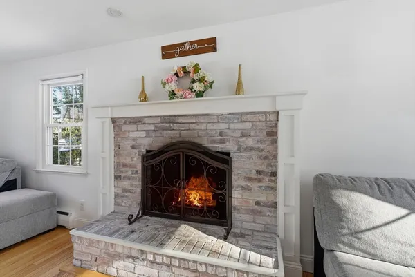 a living room with furniture potted plant and a window
