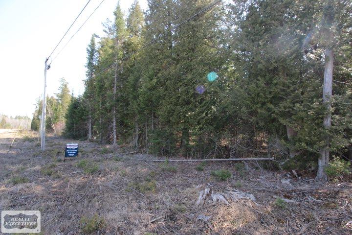 0 East Grand Lake Road Presque Isle, MI 49777 - Photo 2 of 6