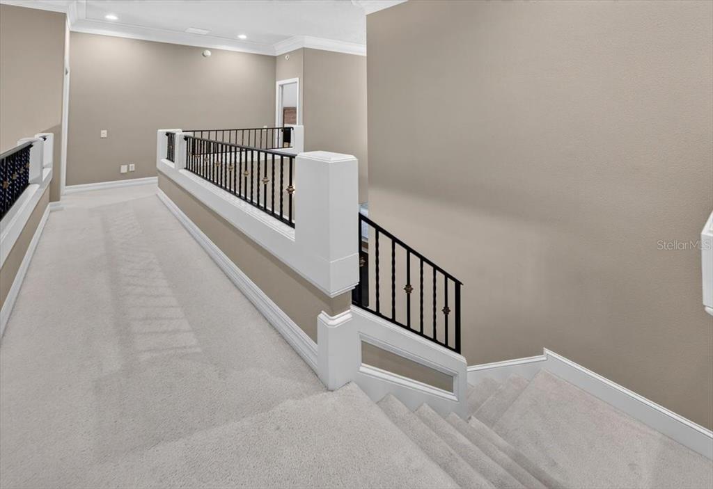 15707 Cochester Road Tampa, FL 33647 - Photo 70 of 95