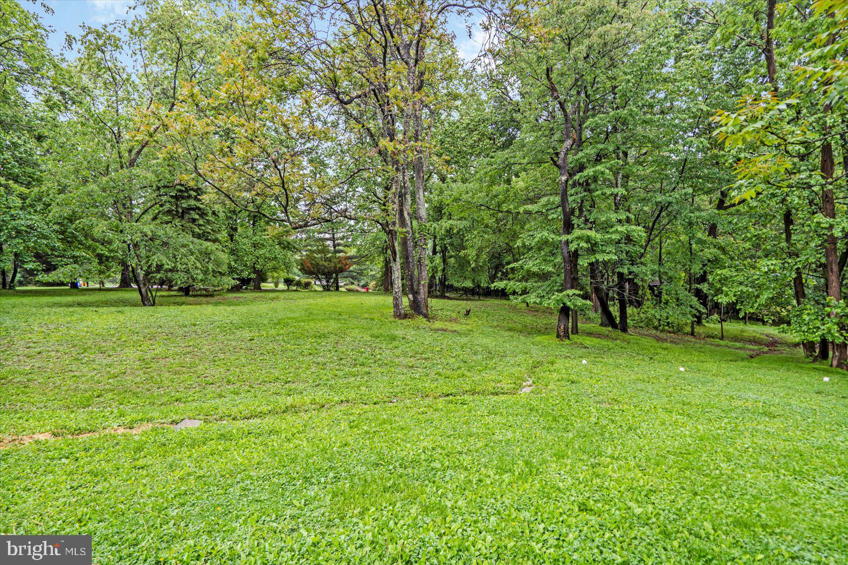 4566 Hickory Lane Mount Airy, MD 21771 - Photo 12 of 45 a view of a park with large trees