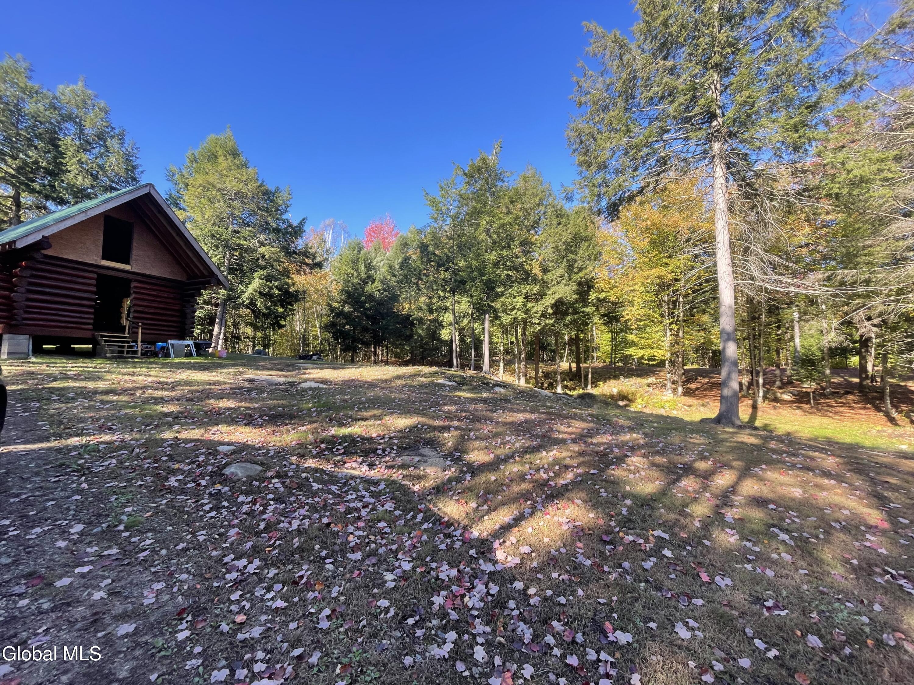 360 Lanfear Road Stony Creek, NY 12878 - Photo 11 of 32 IMG_3817