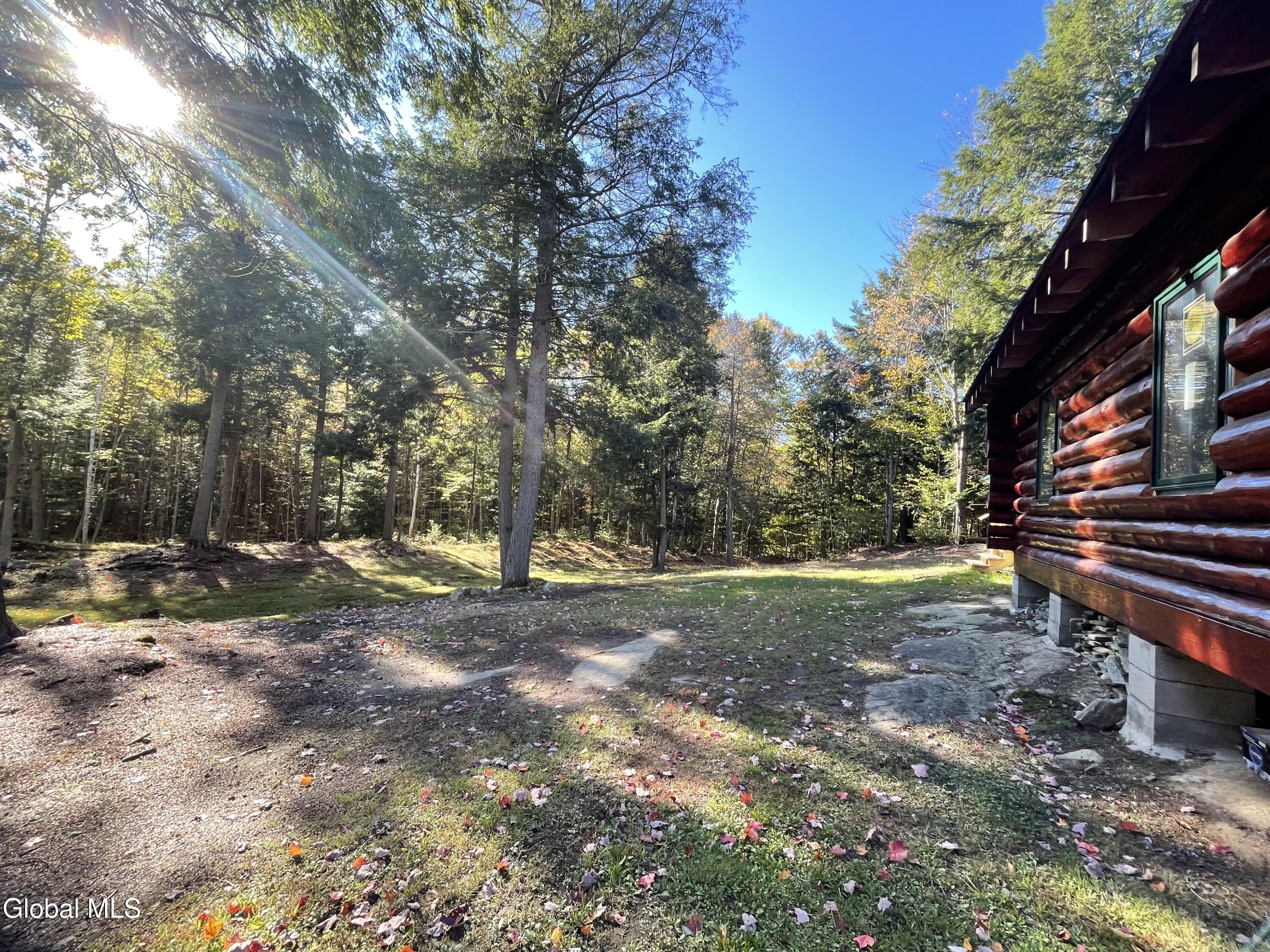 360 Lanfear Road Stony Creek, NY 12878 - Photo 16 of 32 IMG_3826