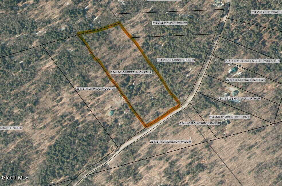 360 Lanfear Road Stony Creek, NY 12878 - Photo 2 of 32 360 Lanfear rd - Stony Creek