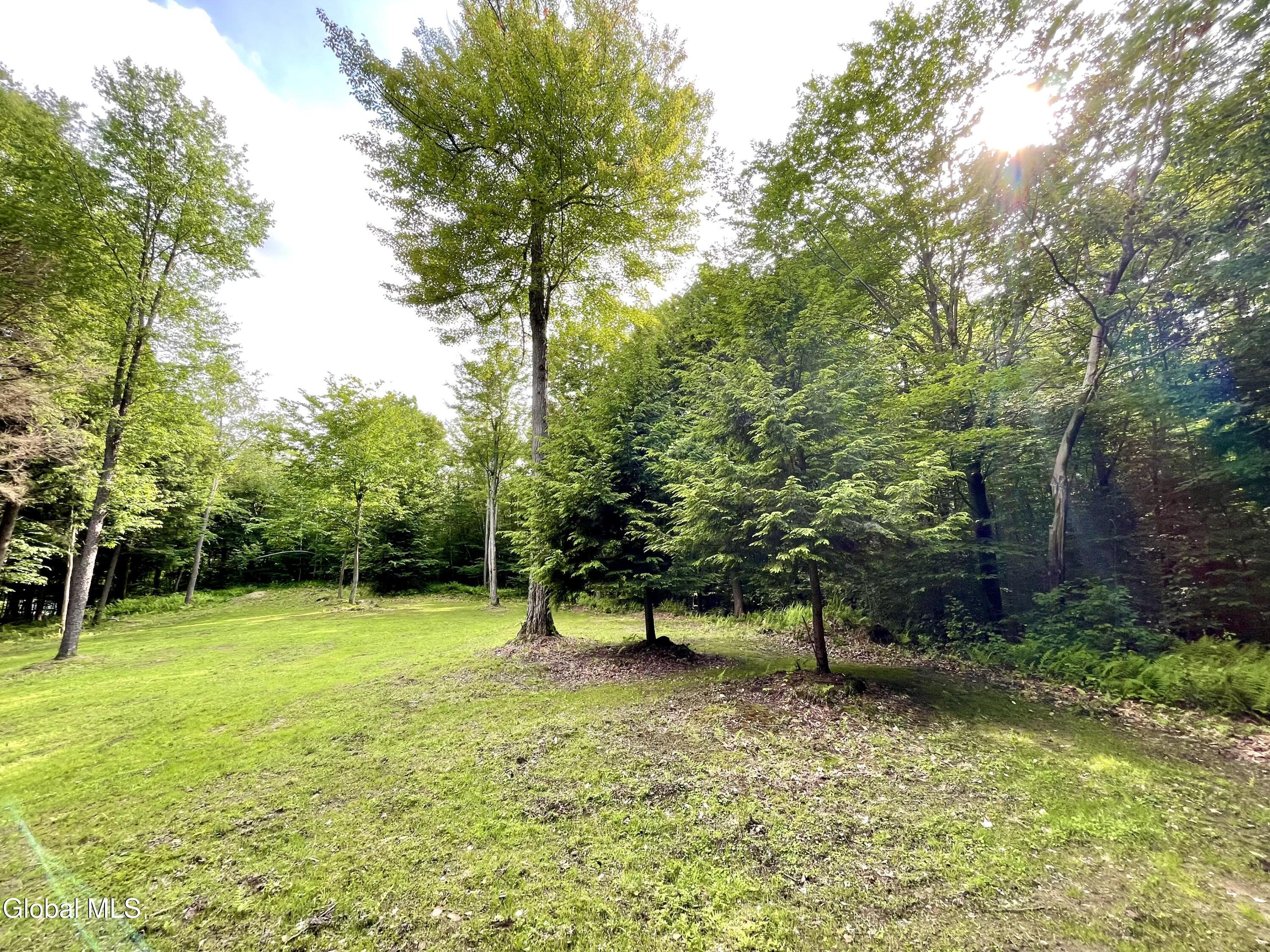 360 Lanfear Road Stony Creek, NY 12878 - Photo 27 of 32 IMG_3855