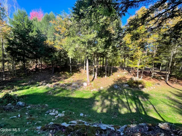 $135,000 | 360 Lanfear Road, Stony Creek, NY 12878