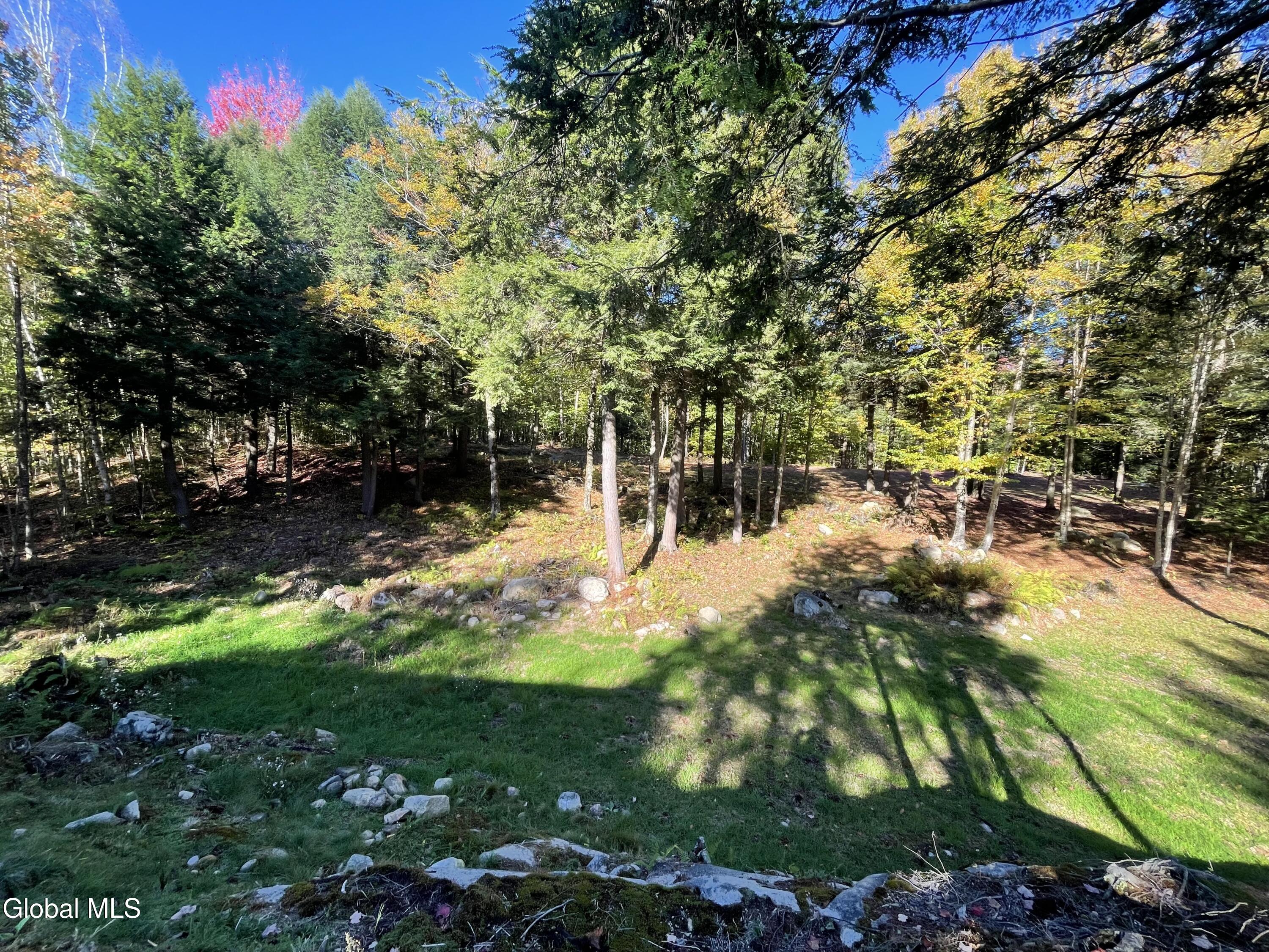 360 Lanfear Road Stony Creek, NY 12878 - Photo 28 of 32 IMG_3820