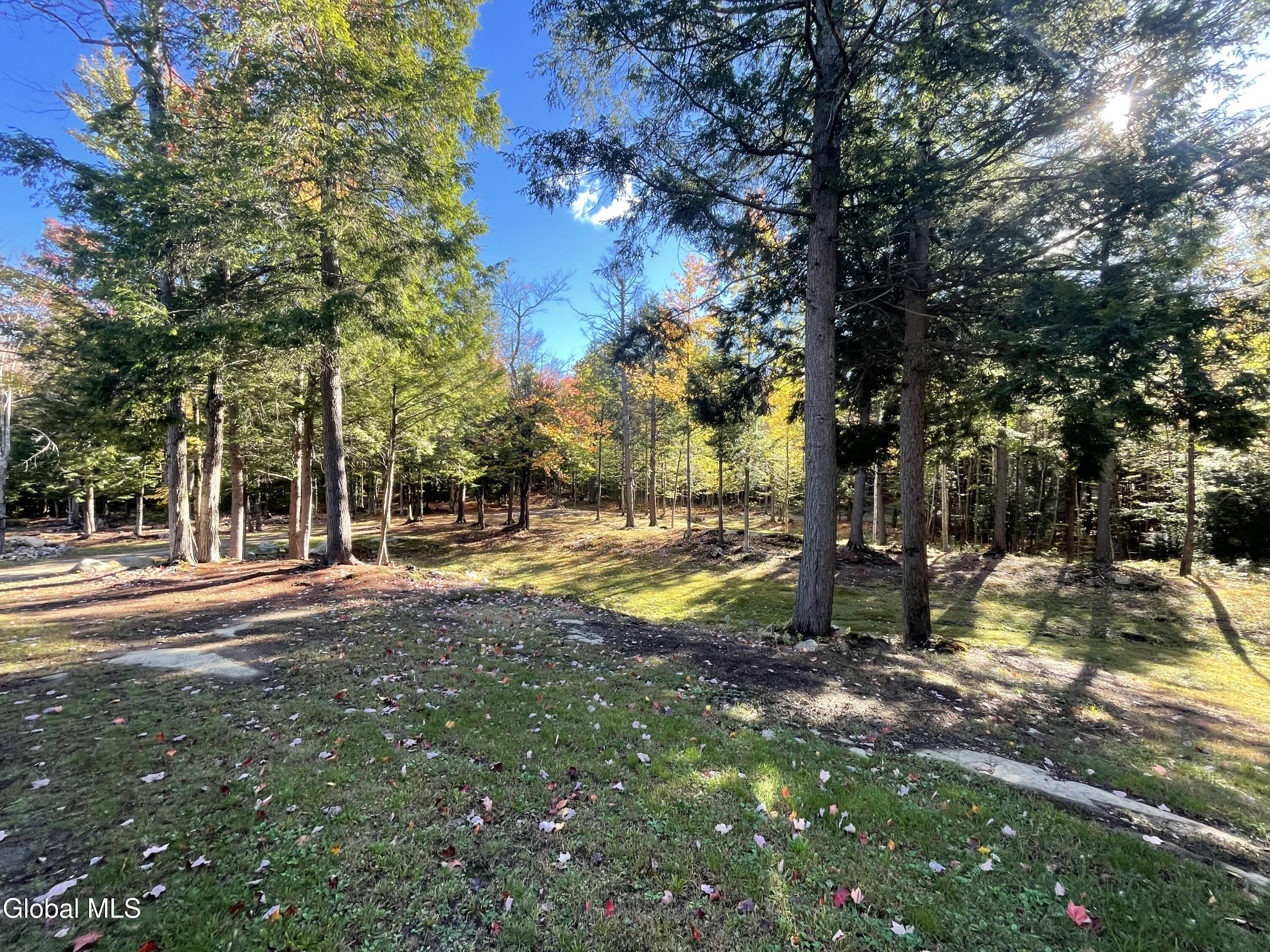 360 Lanfear Road Stony Creek, NY 12878 - Photo 29 of 32 IMG_3834