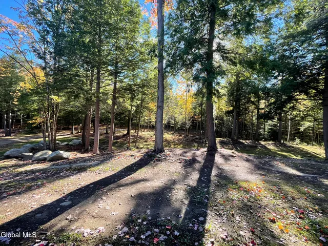 $135,000 | 360 Lanfear Road, Stony Creek, NY 12878