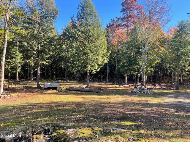 $135,000 | 360 Lanfear Road, Stony Creek, NY 12878