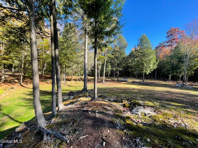 $135,000 | 360 Lanfear Road, Stony Creek, NY 12878