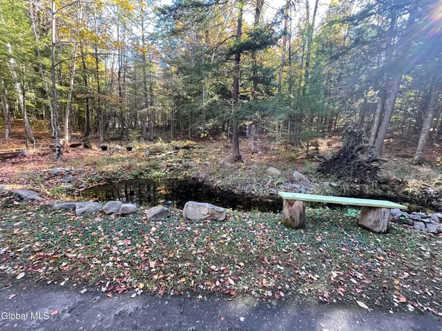 $135,000 | 360 Lanfear Road, Stony Creek, NY 12878