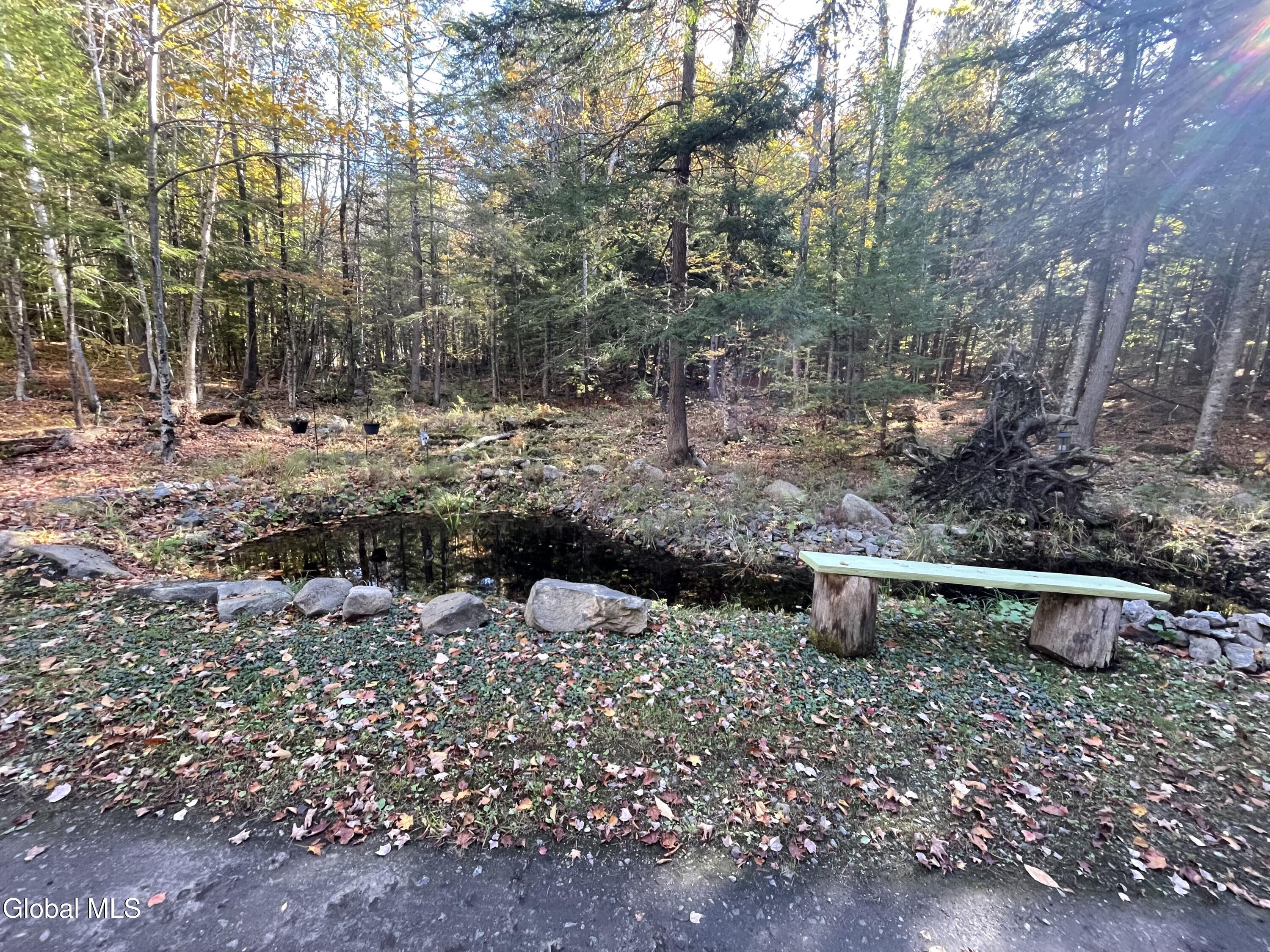 360 Lanfear Road Stony Creek, NY 12878 - Photo 4 of 32 IMG_3808