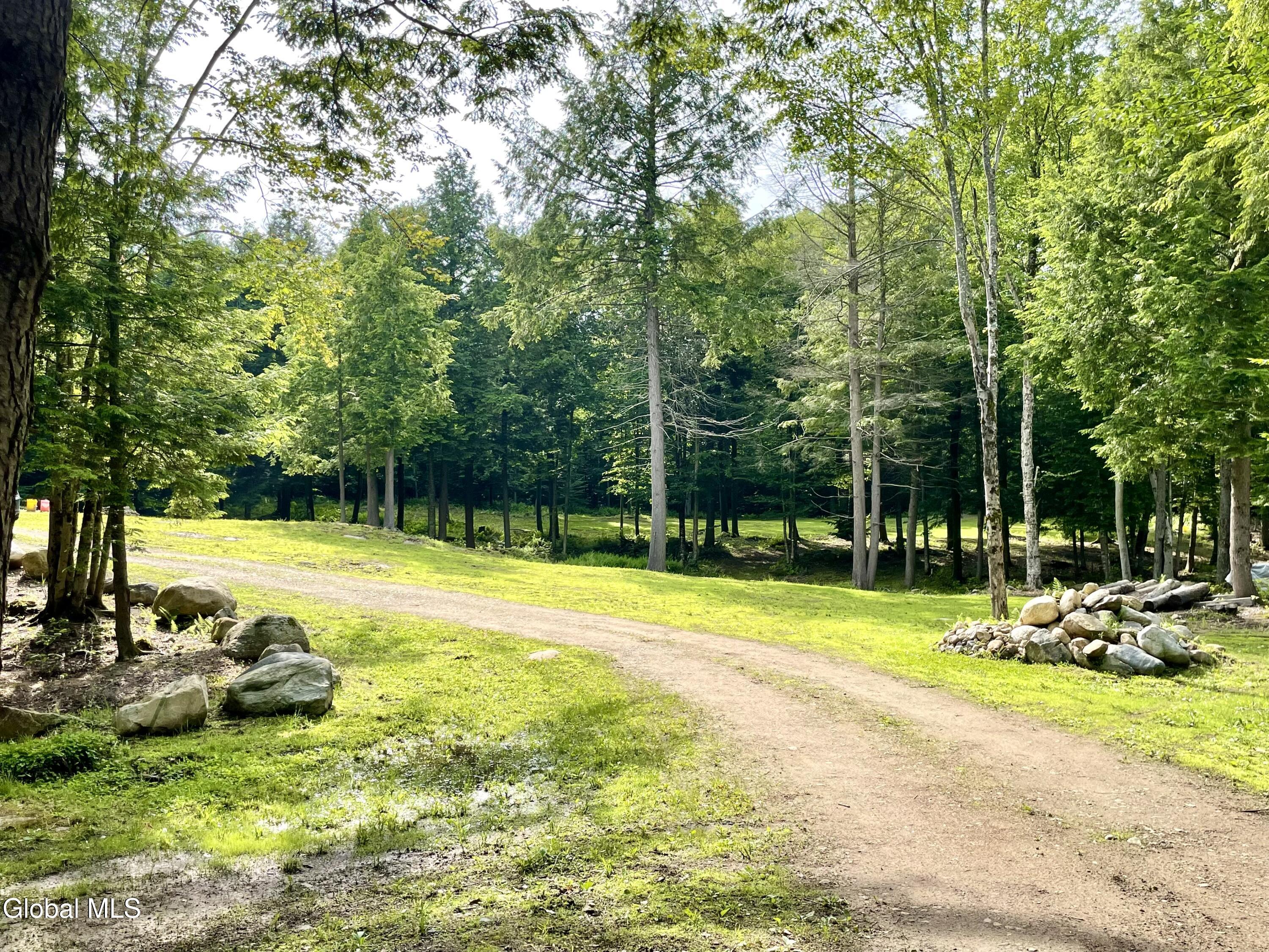 360 Lanfear Road Stony Creek, NY 12878 - Photo 6 of 32 IMG_3853