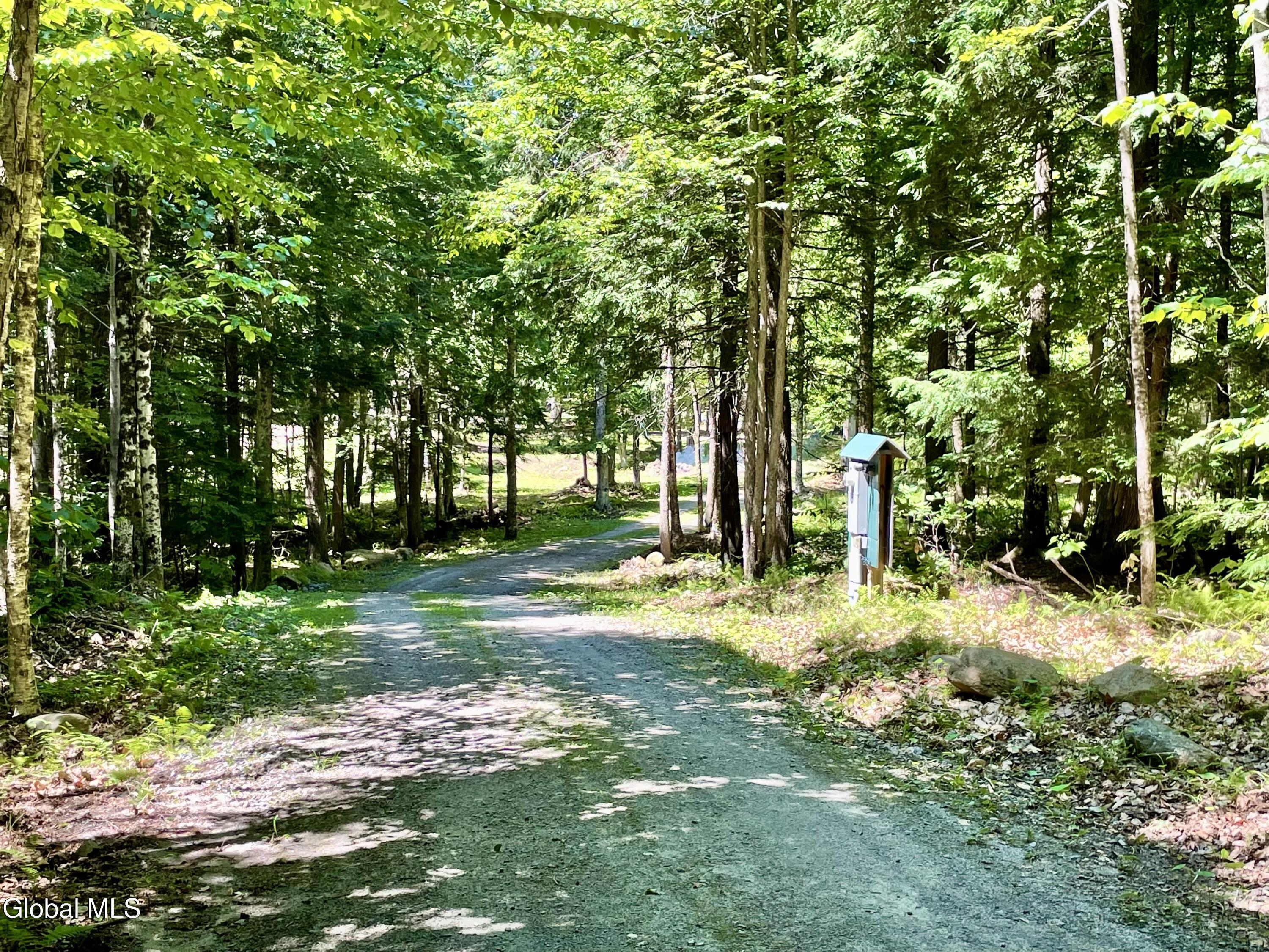360 Lanfear Road Stony Creek, NY 12878 - Photo 7 of 32 IMG_3895