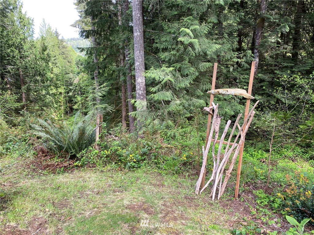 890 East Strong Road Shelton, WA 98584 - Photo 32 of 40 Gallery Image 32