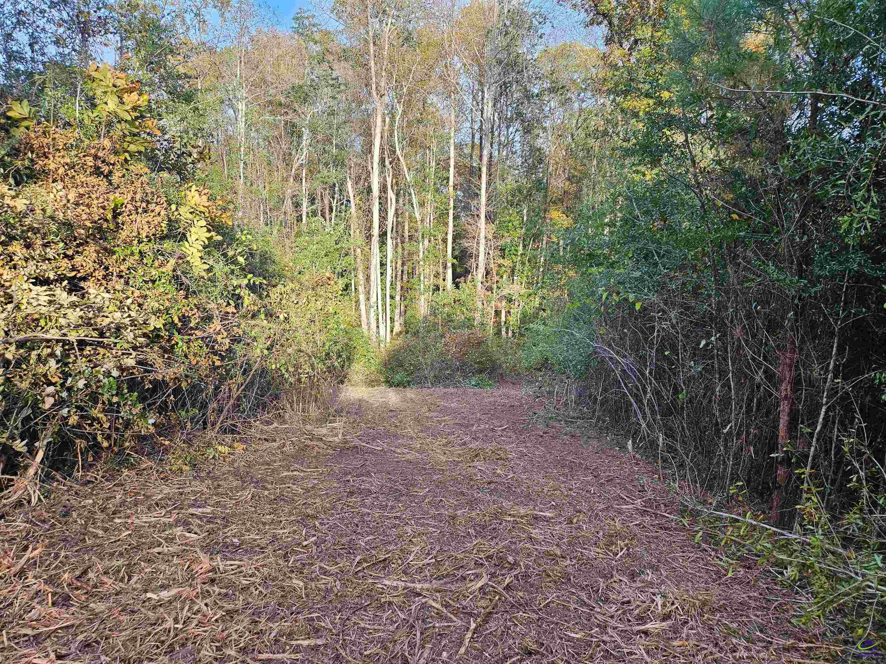 Airport Road Perry, GA 31069 - Photo 22 of 23 a view of a yard with plants and large trees