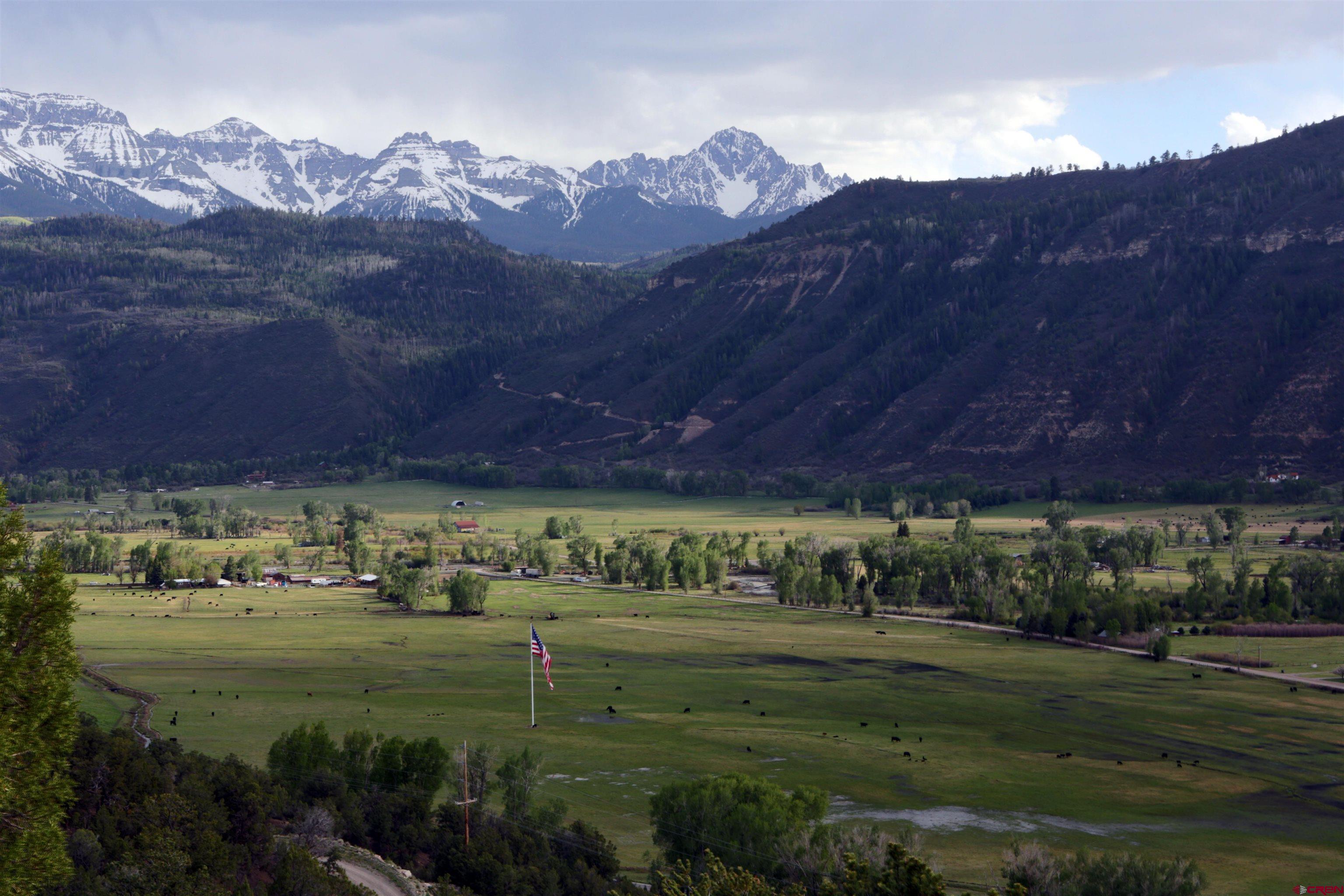 102 550th Highway Ridgway, CO 81432 - Photo 2 of 18 a view of a lush green field with lots of bushes