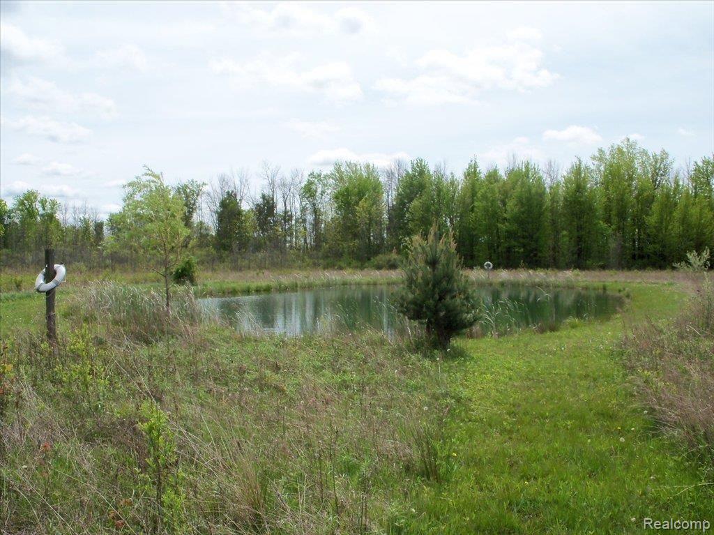 12183 Dunn Road Memphis, MI 48041 - Photo 13 of 15 100_0235