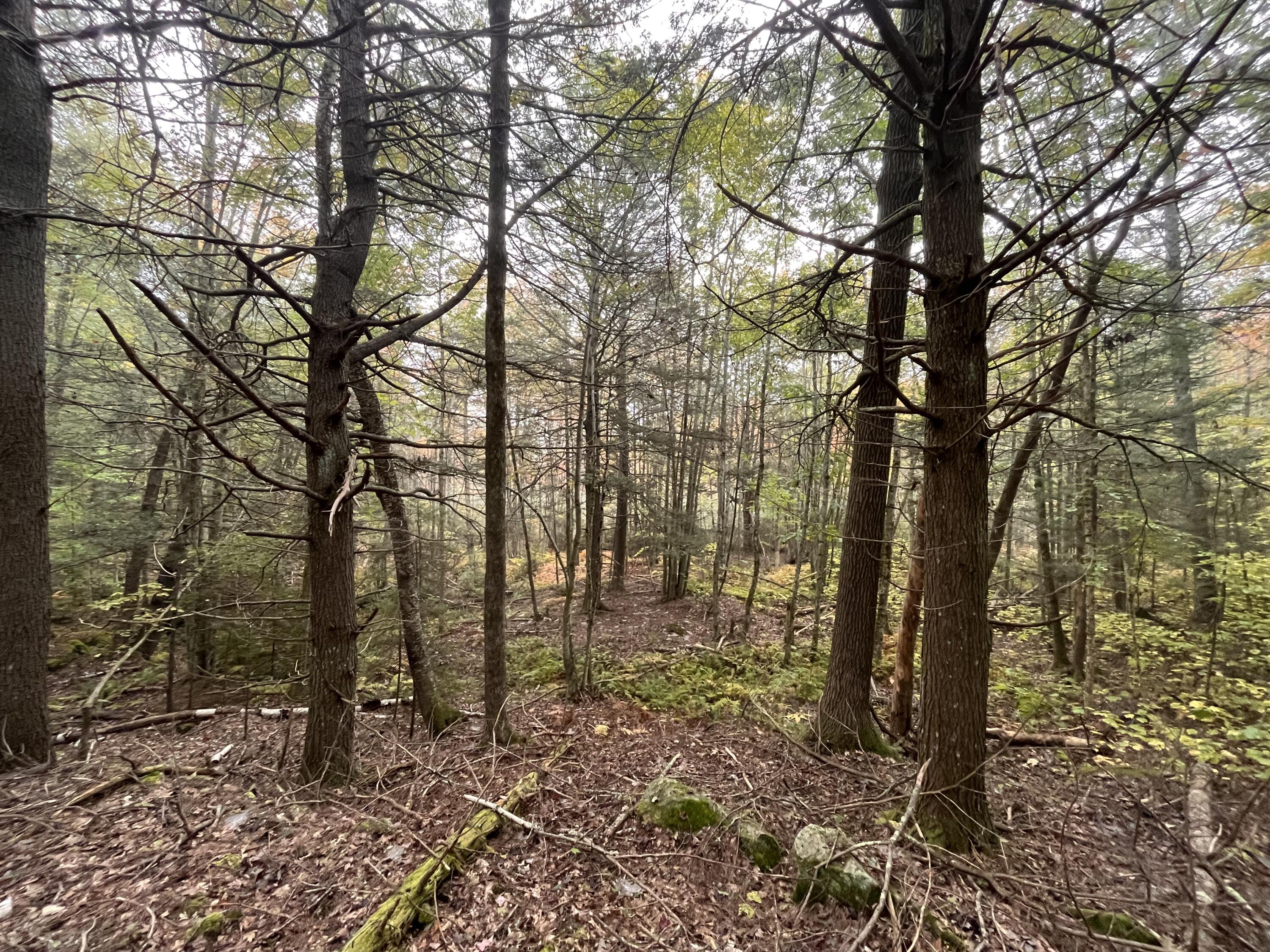 Lot 83 Black Spruce Road Bristol, ME 04539 - Photo 14 of 22 9582854C-8DBB-4972-AED1-BB1E3628C329