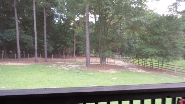 1625 Highway 31 Atmore, AL 36502 - Photo 41 of 45 Backyard View