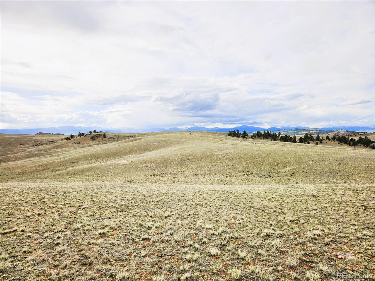 24139 Antero Road Hartsel, CO 80449 - Photo 27 of 35