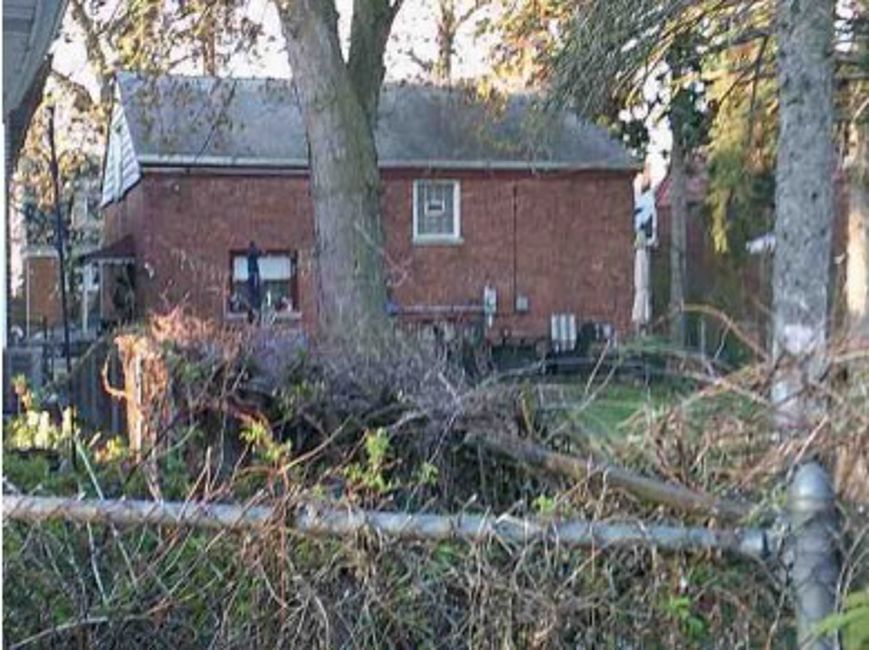 6453 28th Street Berwyn, IL 60402 - Photo 3 of 4 a backyard of a house with lots of green space