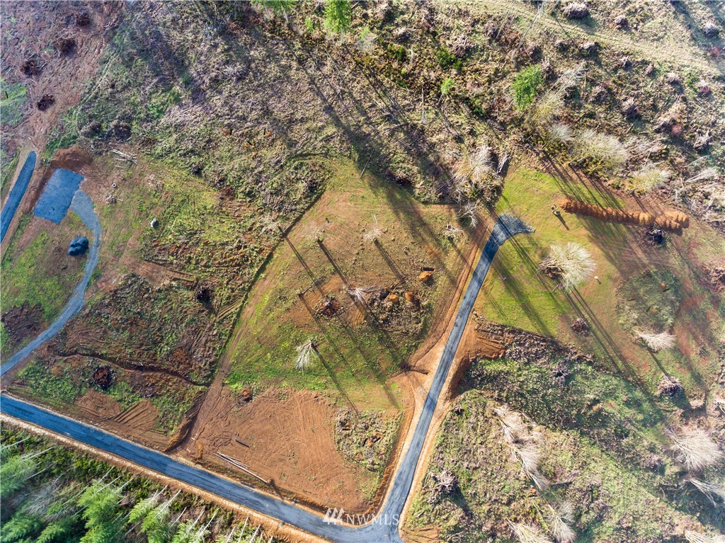 0 Haywire Road, Unit LOT 2 Winlock, WA 98596 - Photo 4 of 5 a view of a yard